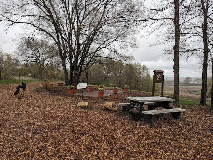 WAG Farms Dog Park 4