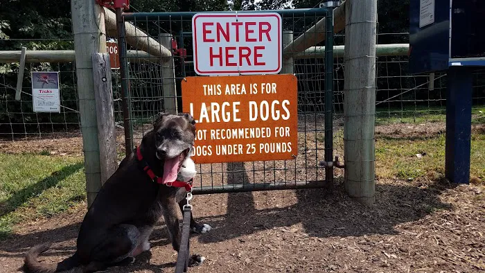 WAG Farms Dog Park 2