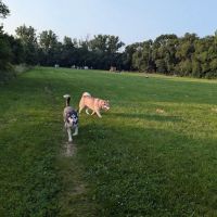 Dakota Woods Dog Park ico