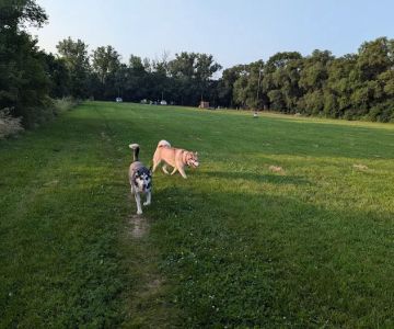 Dakota Woods Dog Park