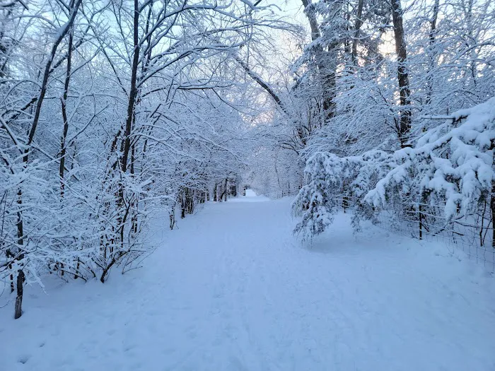 Dakota Woods Dog Park 5