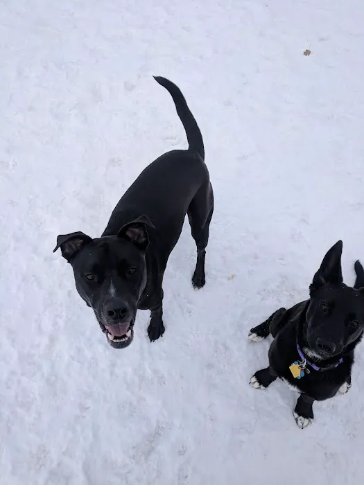 Dakota Woods Dog Park 10