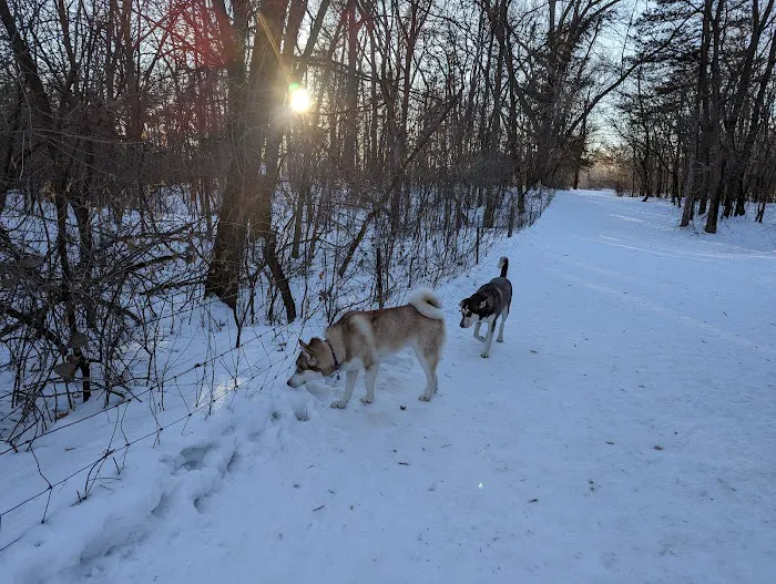 Dakota Woods Dog Park 4