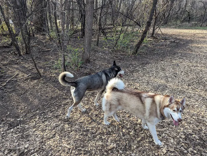 Dakota Woods Dog Park 3