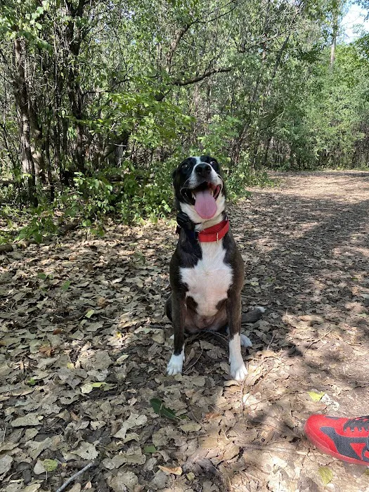 Dakota Woods Dog Park 8
