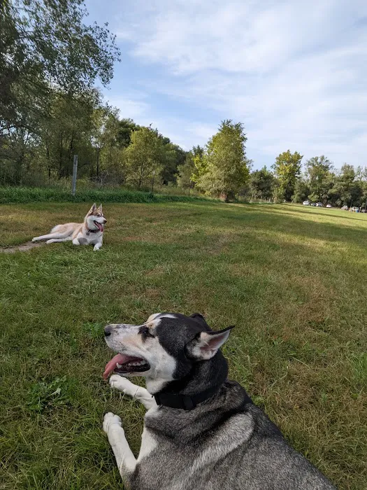 Dakota Woods Dog Park 2