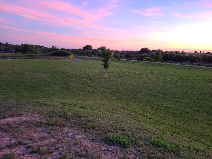 Lonsdale Dog Park 8