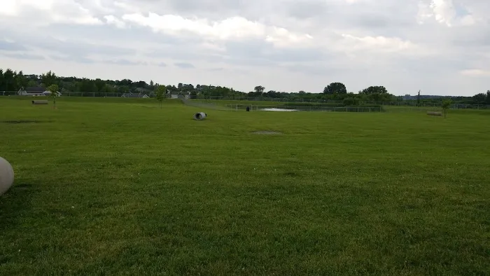 Lonsdale Dog Park 9