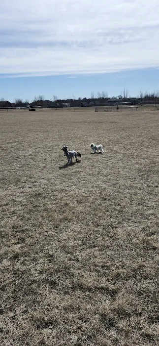 Lonsdale Dog Park 4
