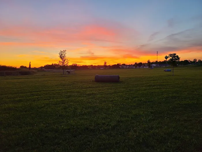 Lonsdale Dog Park 7