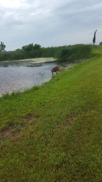Lonsdale Dog Park 2