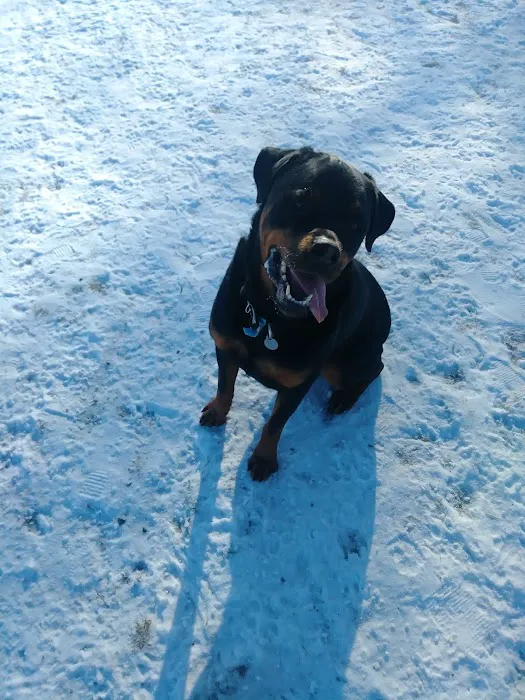 Northfield Dog Park 8