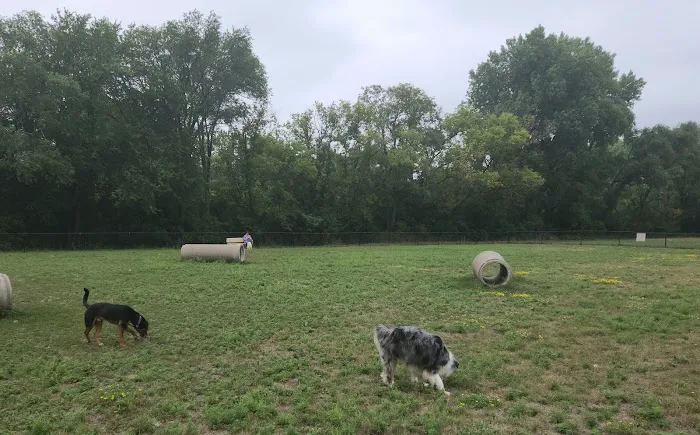 Northfield Dog Park 4