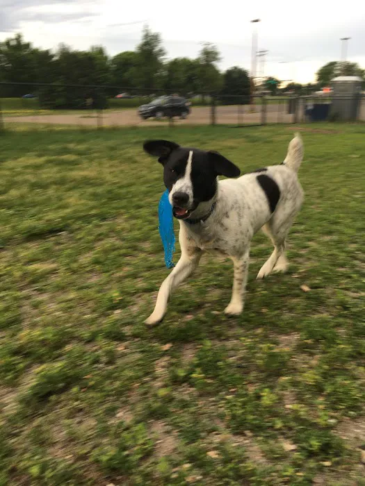 Northfield Dog Park 1