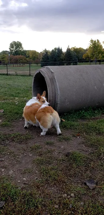 Northfield Dog Park 6