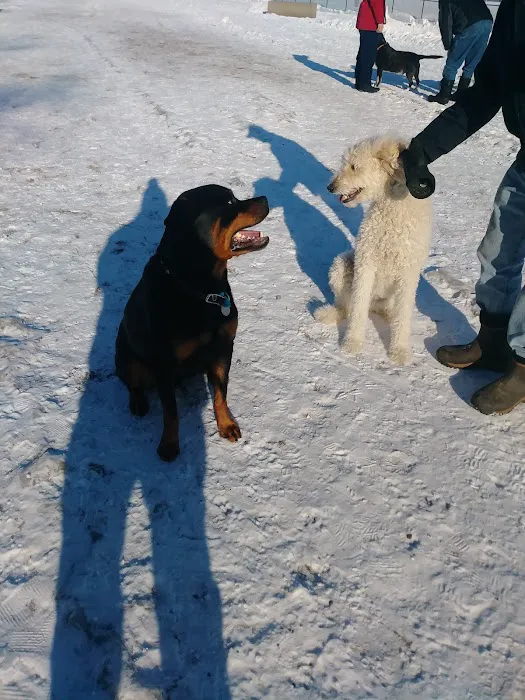 Northfield Dog Park 7
