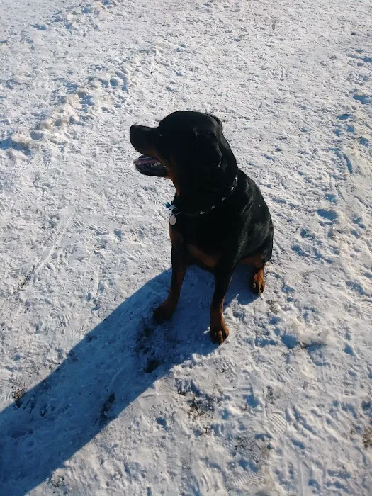 Northfield Dog Park 10
