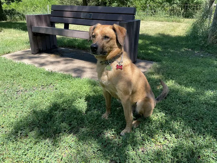 Lake Sarah Dog Park 6