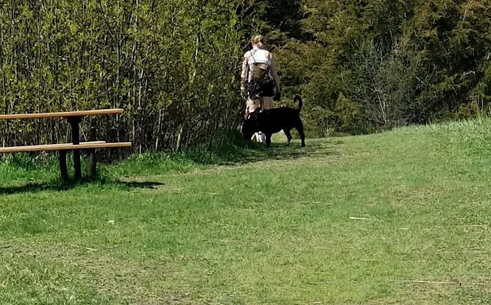 Lake Sarah Dog Park 1