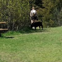 Lake Sarah Dog Park ico