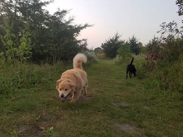 Lake Sarah Dog Park 2