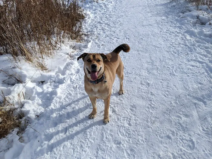 Lake Sarah Dog Park 3