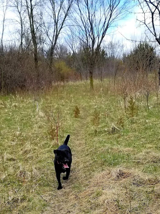 Lake Sarah Dog Park 4