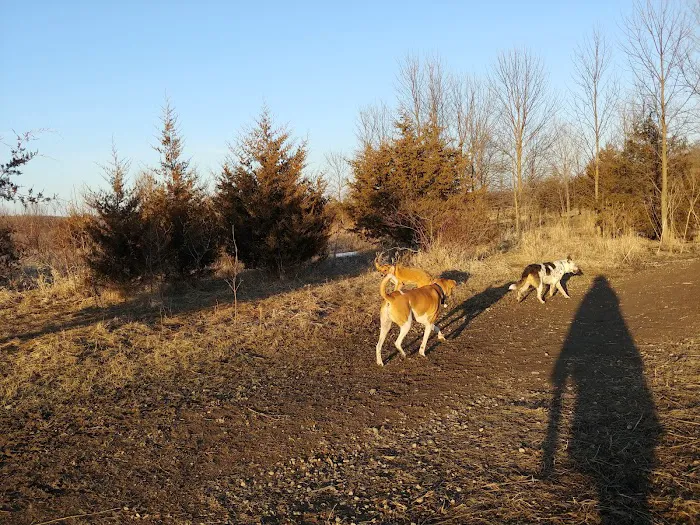 Lake Sarah Dog Park 9