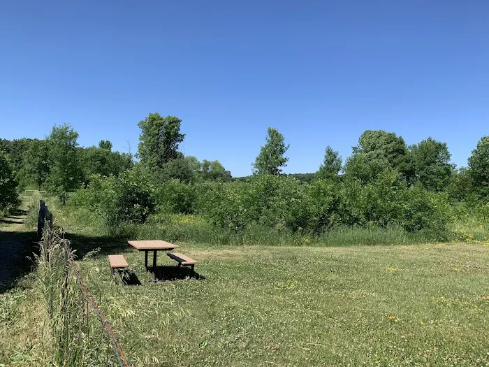 Lake Sarah Dog Park 7