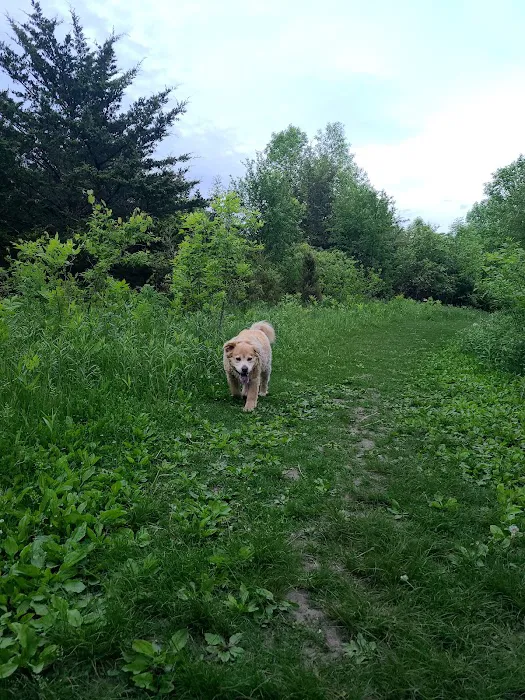 Lake Sarah Dog Park 8