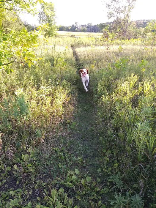 Lake Sarah Dog Park 10