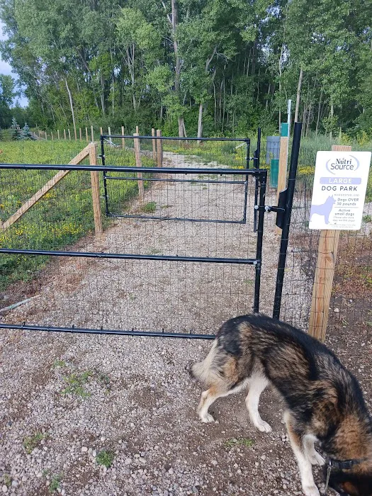 Delano Dog Park 4