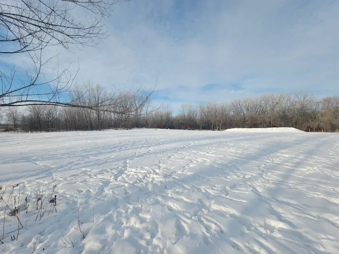 Delano Dog Park 3