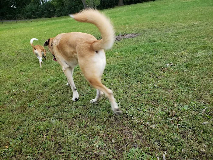 Monticello Dog Park 9