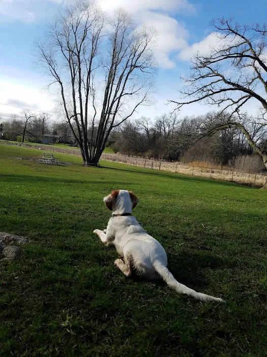 Monticello Dog Park 8