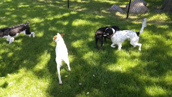 Monticello Dog Park 6