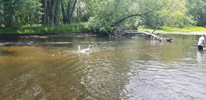 Dog Park 4