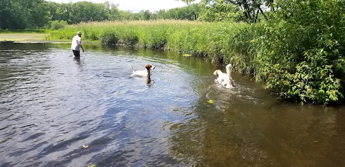 Dog Park 5