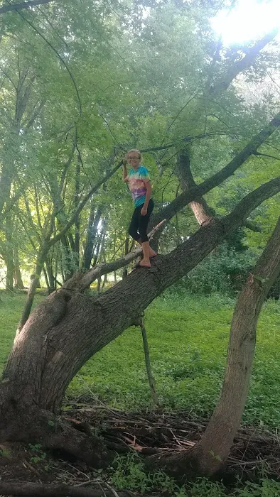 Dog Park 1