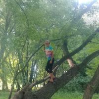 Dog Park ico