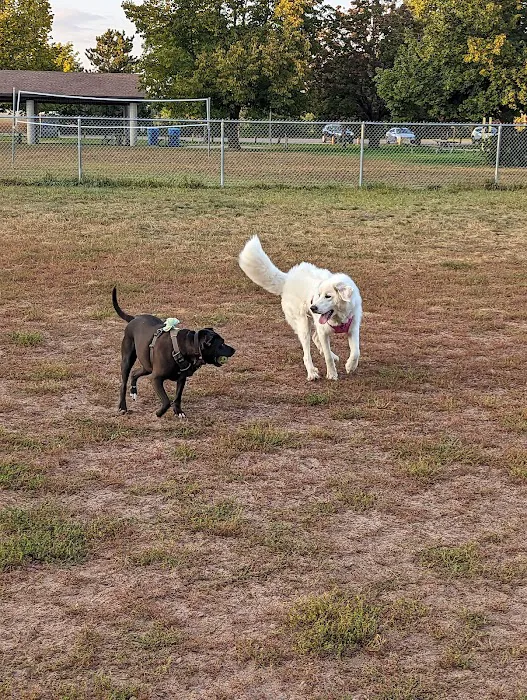 Dog Park 6