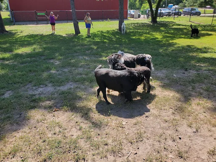 Gary Mattson Dog Park 1