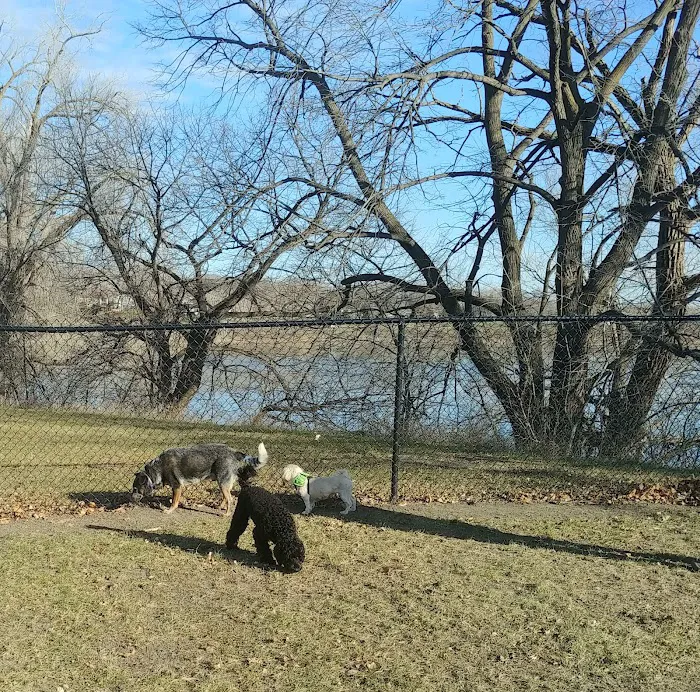 Gary Mattson Dog Park 10