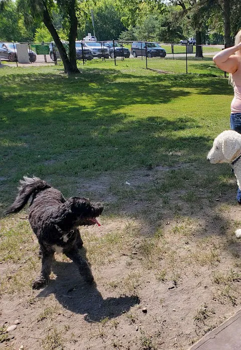 Gary Mattson Dog Park 2