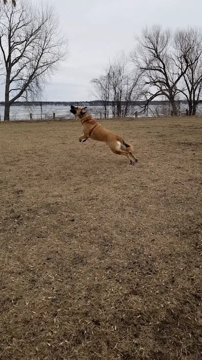 Gary Mattson Dog Park 7