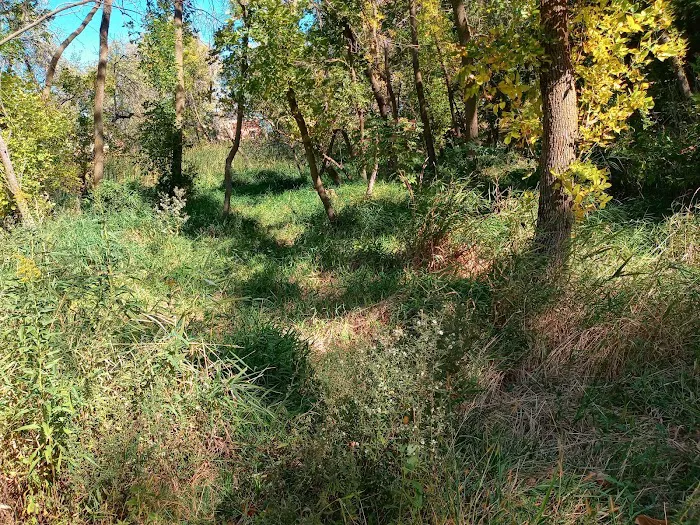 Watertown Dog Park 7