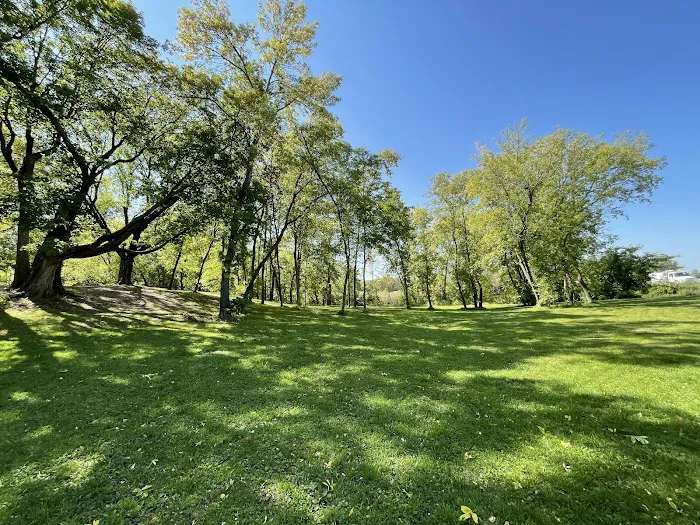 Watertown Dog Park 1