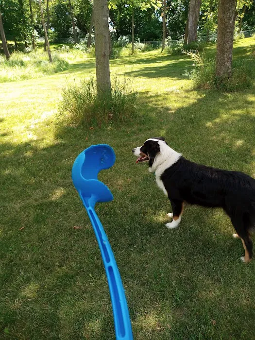 Watertown Dog Park 4
