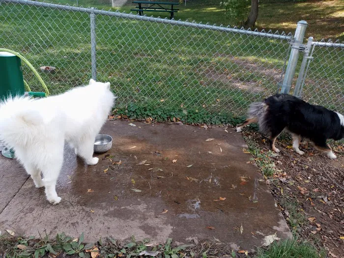 Watertown Dog Park 8