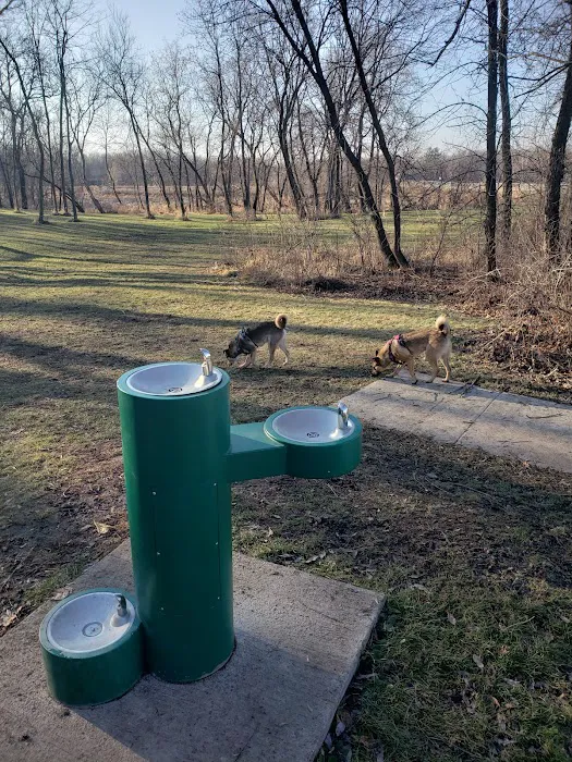 Watertown Dog Park 9